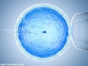 墨序生殖医学中心